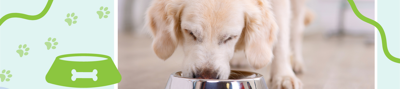 Dehydrated Food