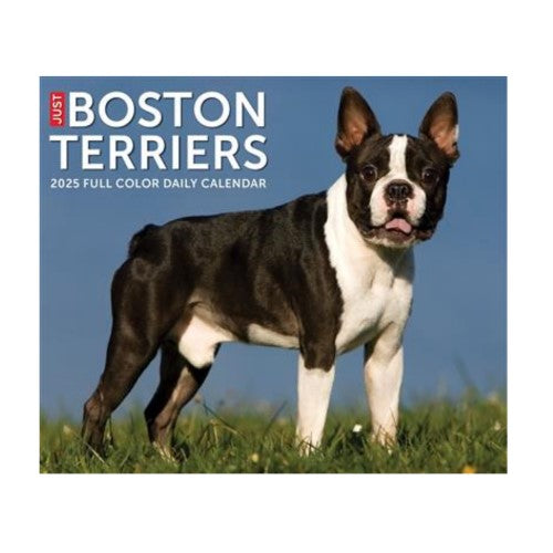 Boston Terrier 2025 Box Calendar