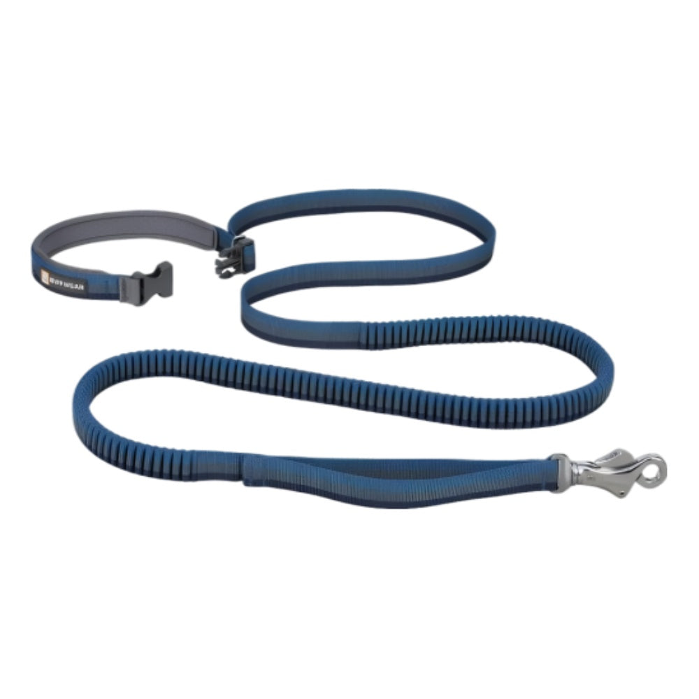 Roamer Dog Leash