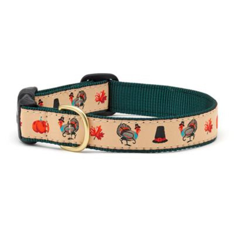 Turkey Trot Dog Collar