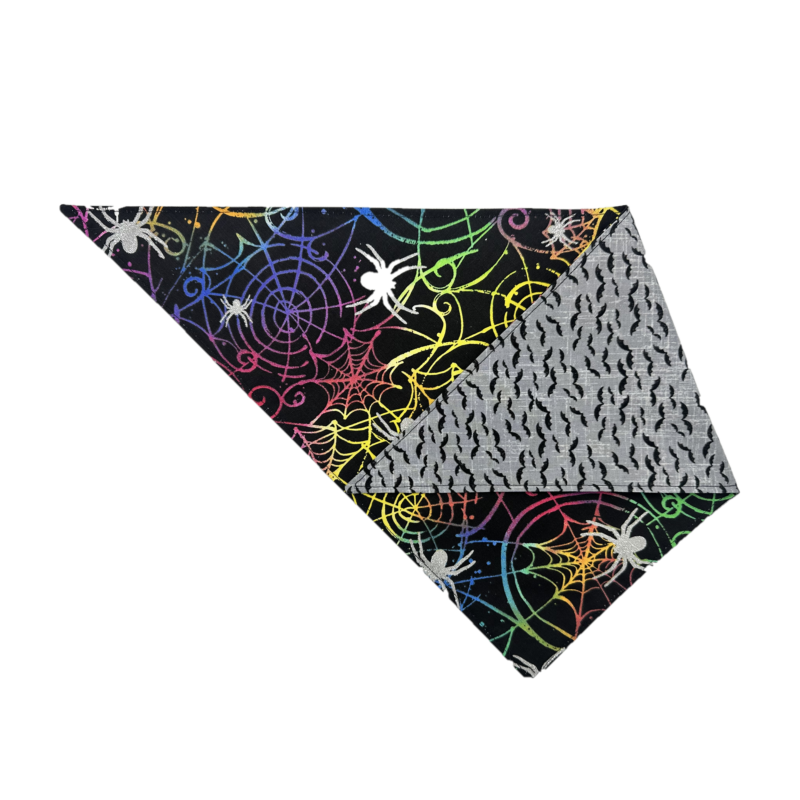 Color Web Bandana