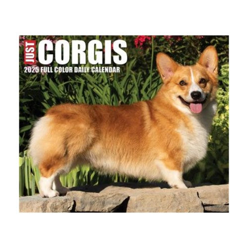 Corgis 2025 Box Calendar