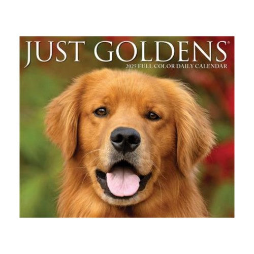 Goldens 2025 Box Calendar