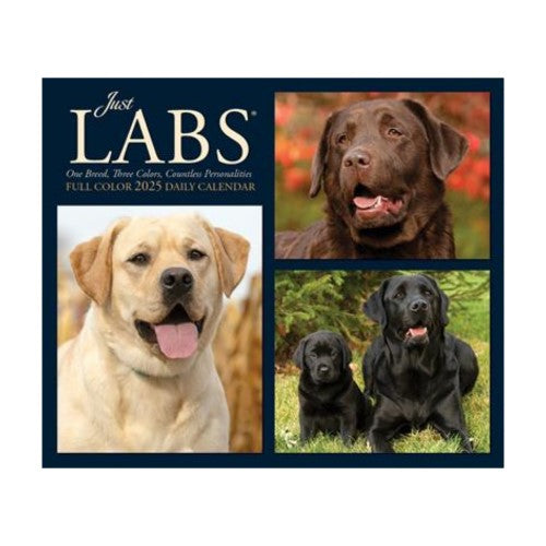 Labs 2025 Box Calendar