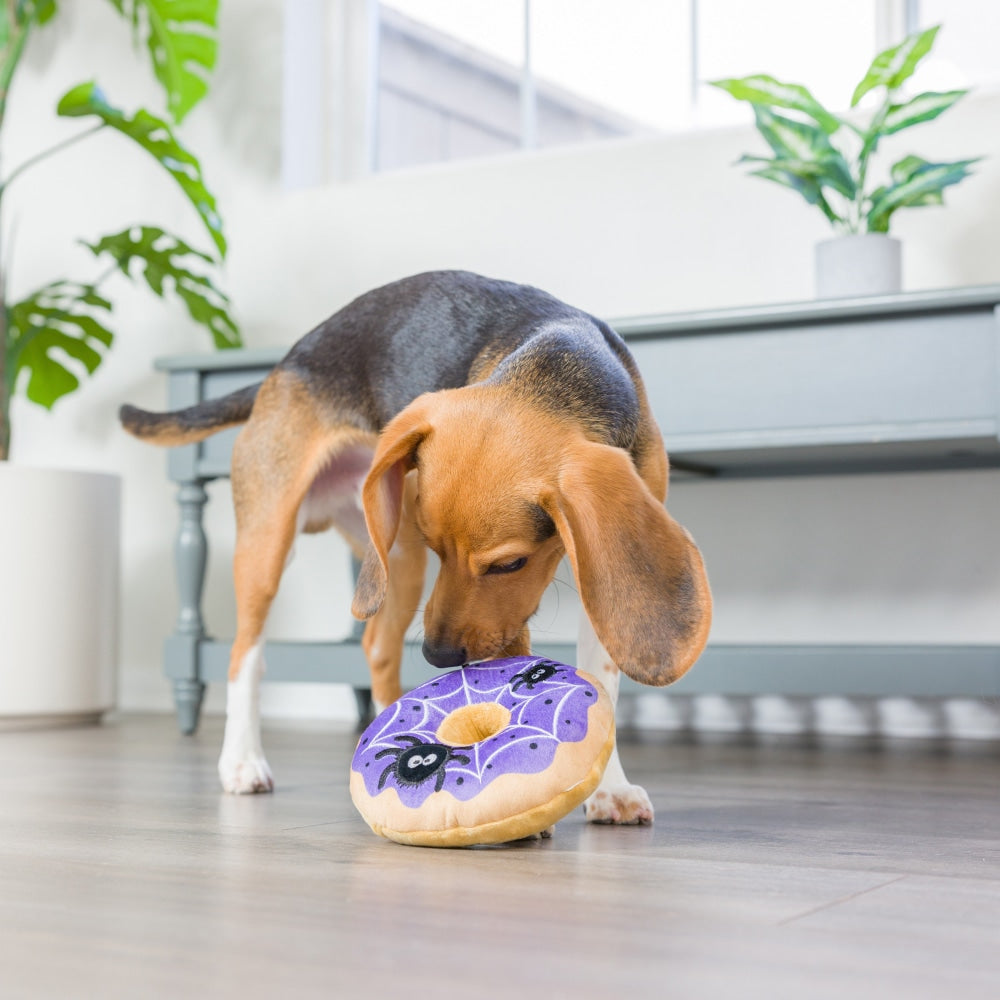 Spiderweb Donut Dog Toy