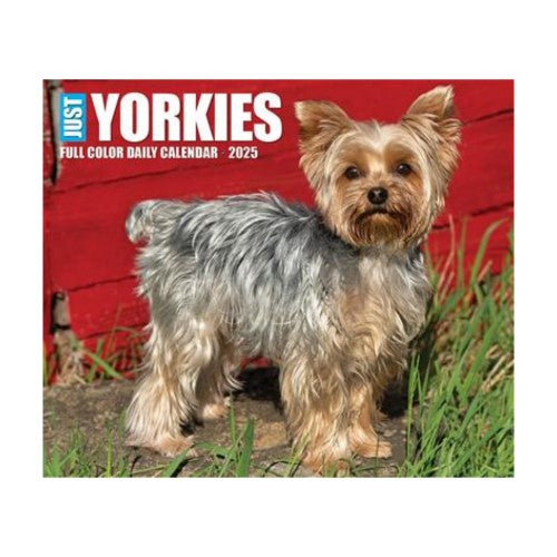 Yorkies 2025 Box Calendar