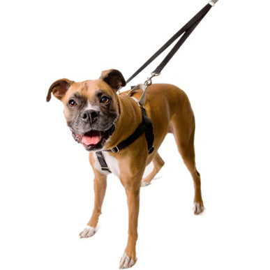 2 Hounds Black Freedom No-Pull Harness