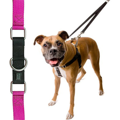 2 Hounds Raspberry Freedom No-Pull Harness