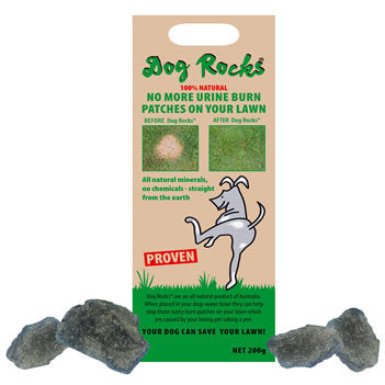 Dog Rocks Dog Rocks