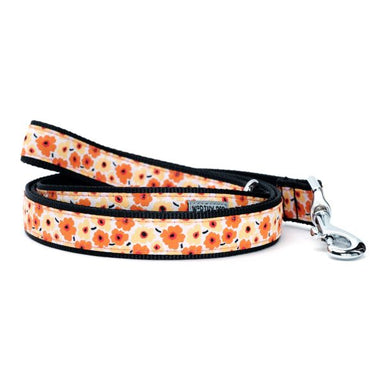 checked Fleurs Collar & Lead Image 2