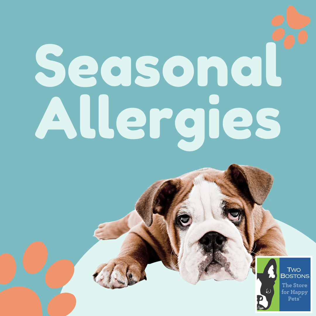 Seasonal Allergies