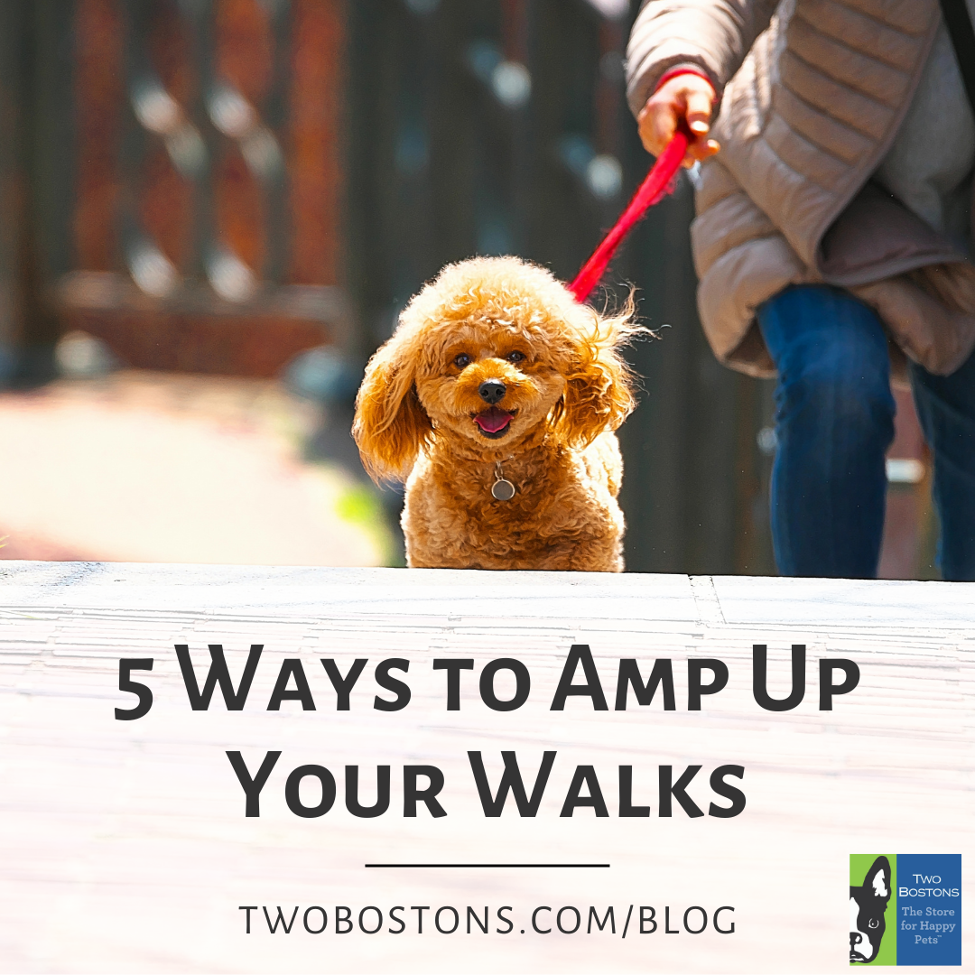 5 Ways to Amp Up Your Walks