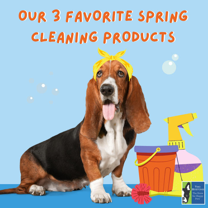 Our 3 Favorite Spring Cleaning Products