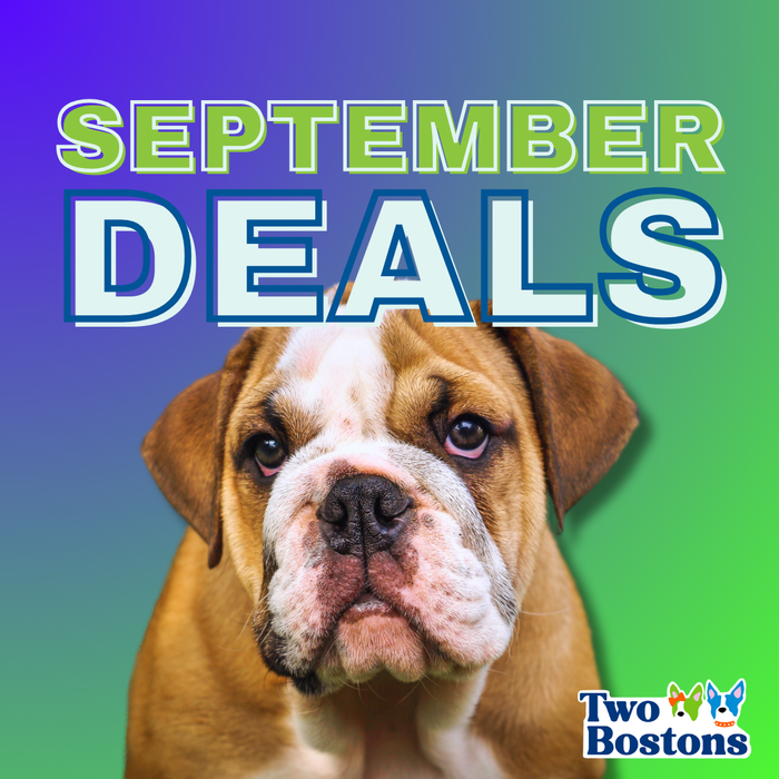 September Deals