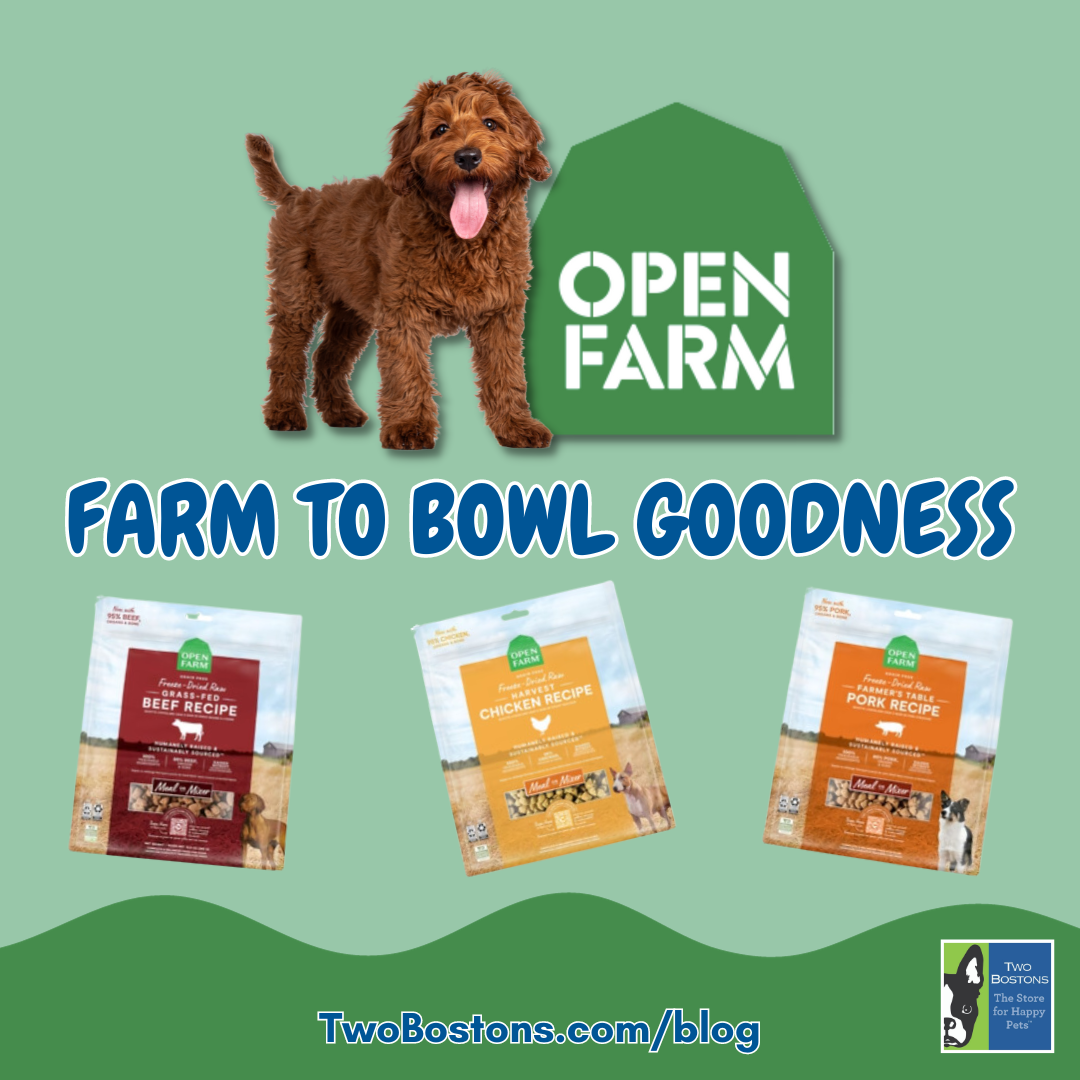 Open Farm: Farm to Bowl Goodness