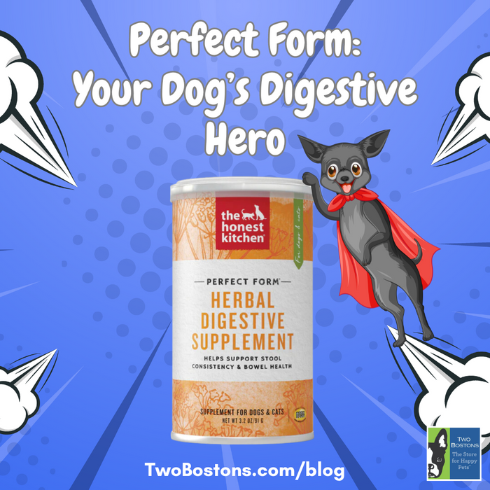 Perfect Form: Your Dog's Digestive Hero