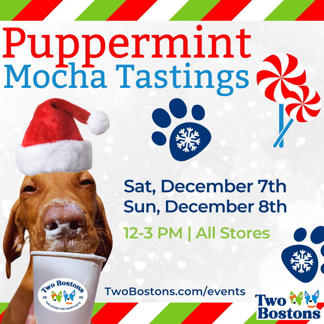 Puppermint Mocha Tastings