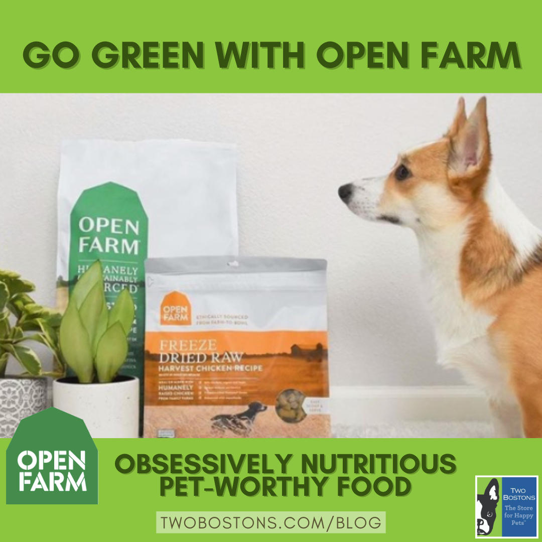 Go Green with Open Farm