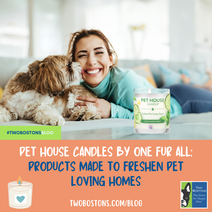 Pet House Candles by One Fur All: "Products Made To Freshen Pet Loving Homes!"