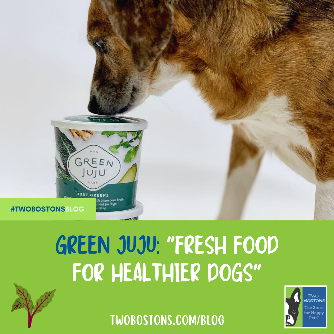 Green JuJu: "Fresh Food For Healthier Dogs"