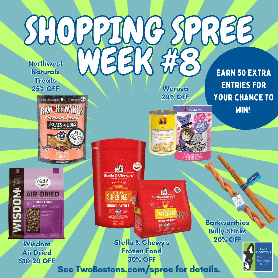 2023 Shopping Spree Week #8