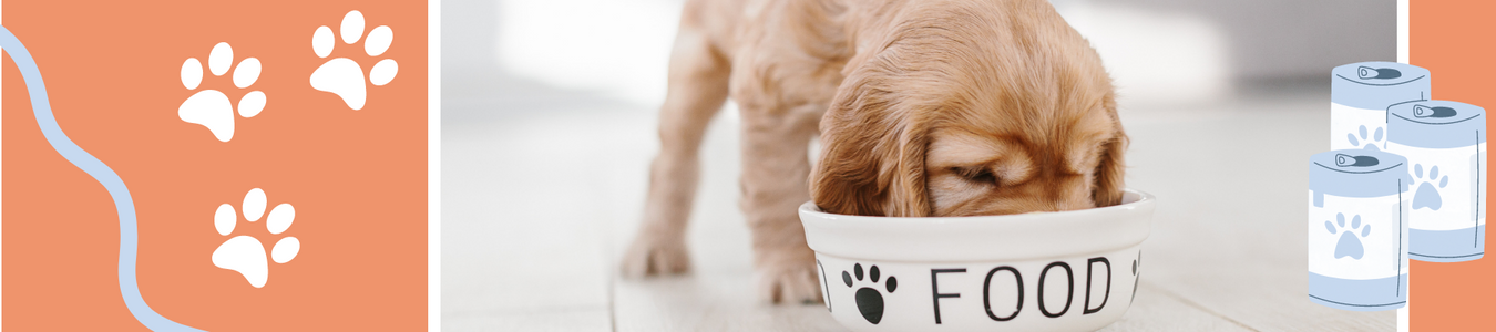 Puppy Mealtime