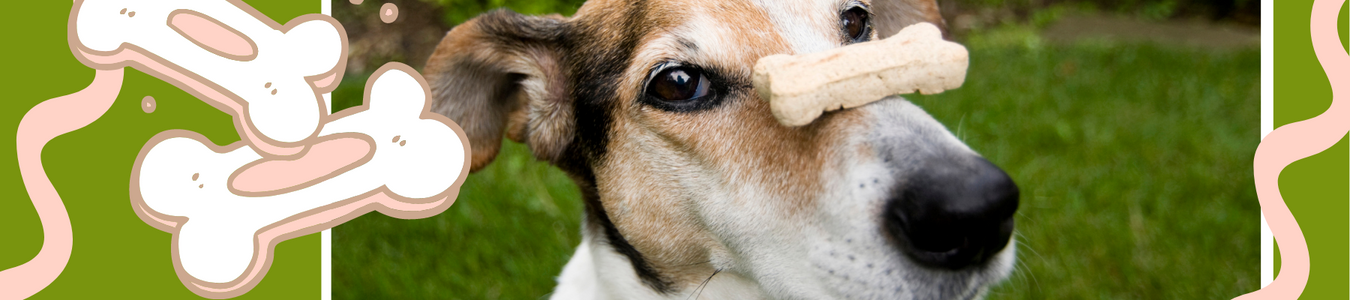 Biscuits & Crunchy Treats