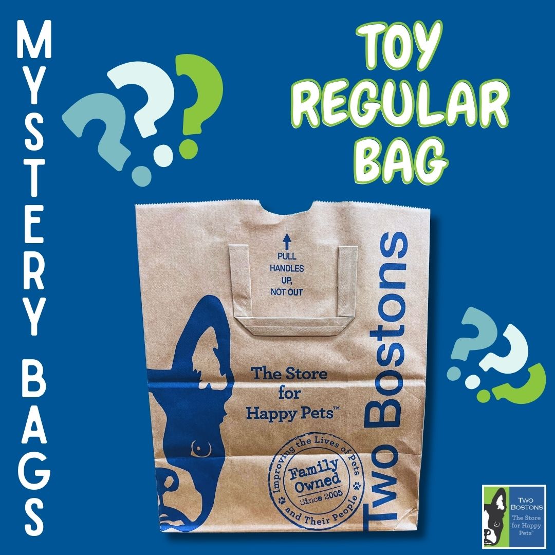 Mystery Bag - Toy Bundle - Regular Size