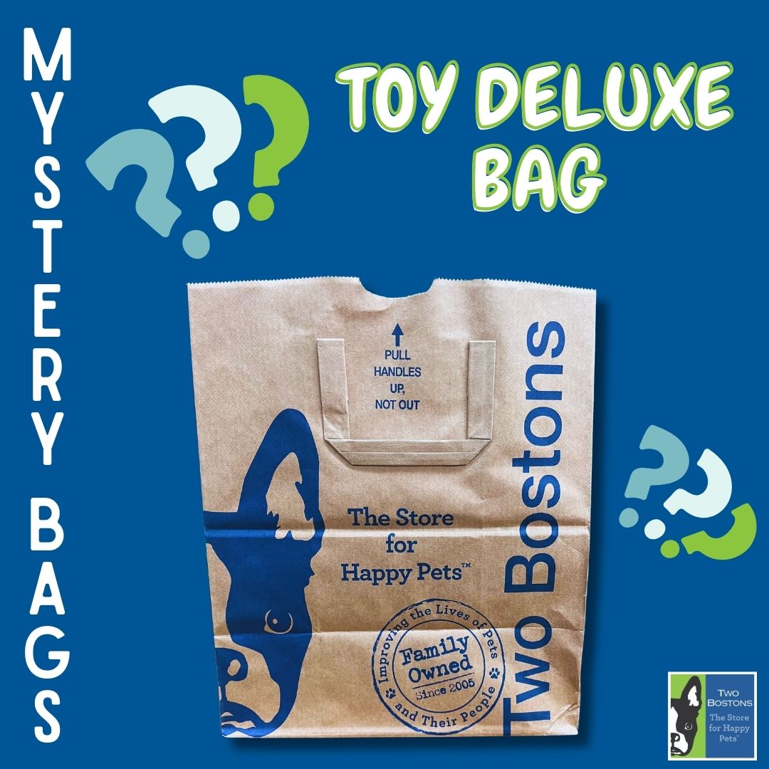 Mystery Bag - Toy Bundle - Deluxe Size