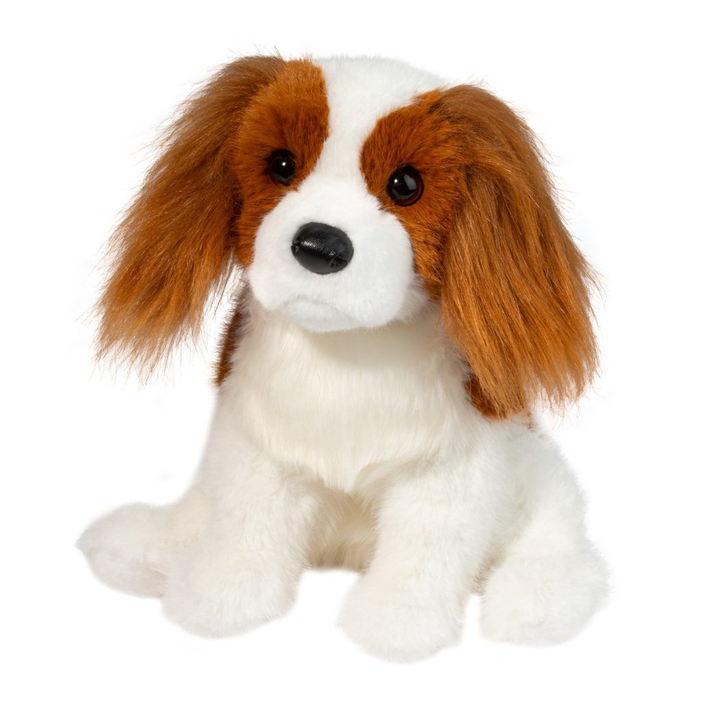 Kingsley Cavalier King Charles Spaniel