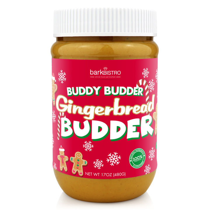 Gingerbread Buddy Budder