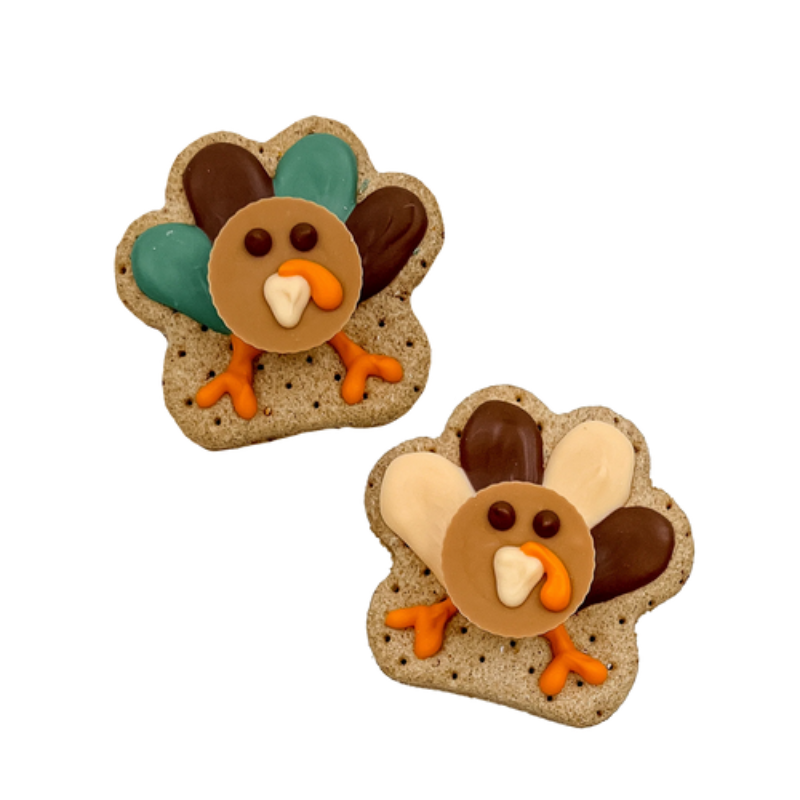 3D Turkey Dog Treat - Assorted Colors