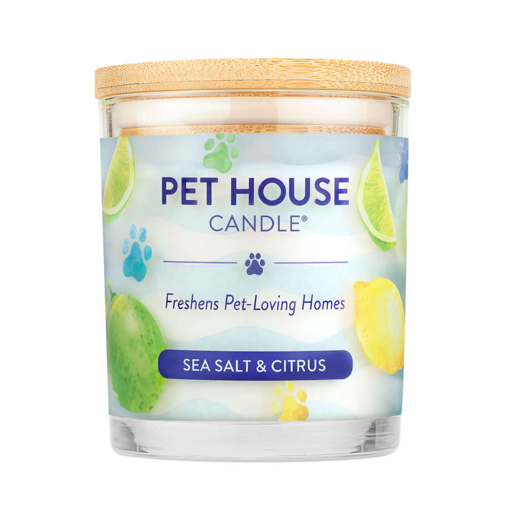 Sea Salt & Citrus Candle