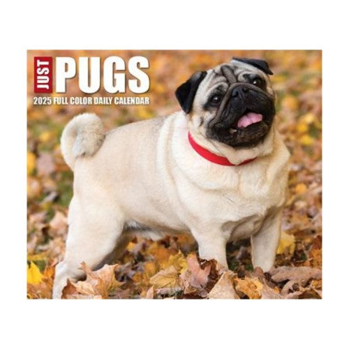 Pugs 2025 Box Calendar