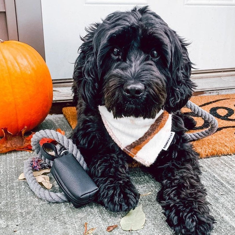 Doggie Walk Faux Leather Black Duffel Poop Bag Holder