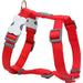 Red Dingo Classic Red Dog Harness