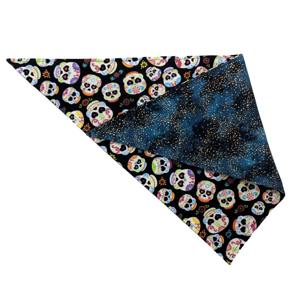 Color Skull Bandana