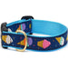 Up Country Ice Cream Dog Collar