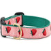 Up Country Strawberry Fields Dog Collar